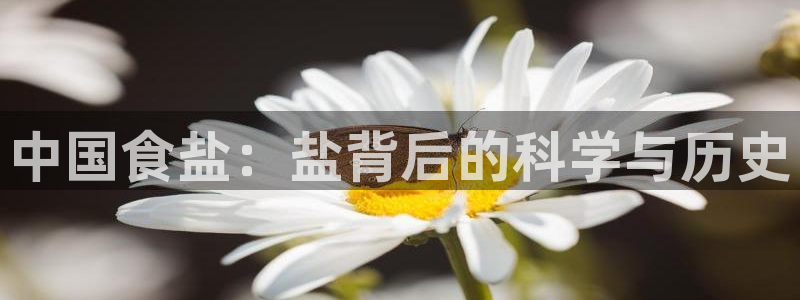 威九国际取款多到账