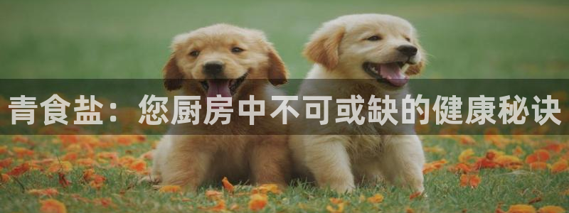 威九国际免费ppt网址