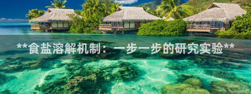 威九国际网站客服电话多少啊