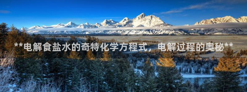 威九国际app网站安全吗
