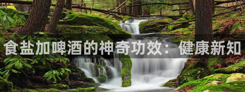 威九国际犯法吗