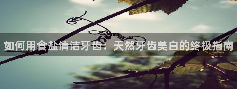 威九国际空降服务女演员叫什么名字