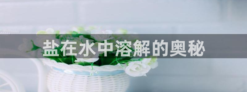 威九国际v96bet下载