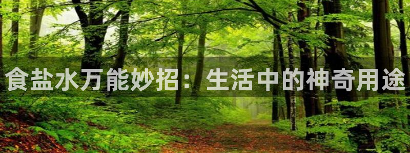 威九国际网站入口官网免费