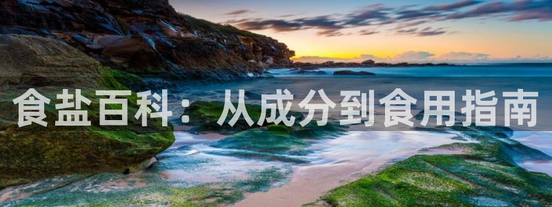 威九国际官方下载