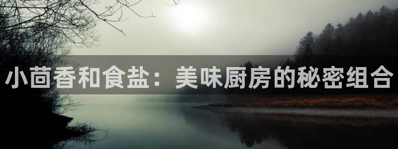 威九国际客服电话