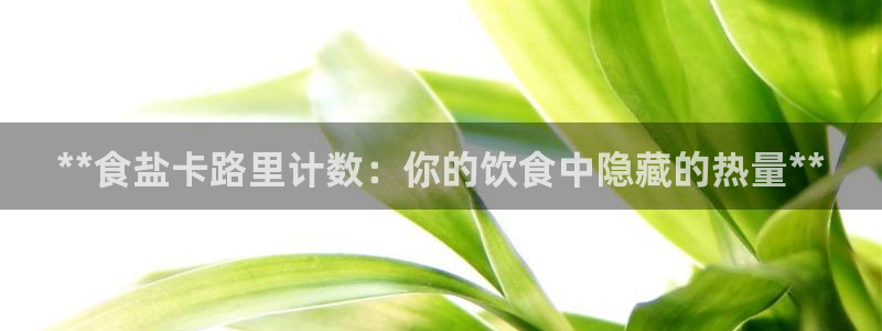 威九国际精彩推荐