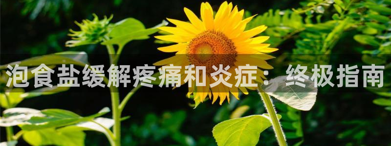 威九国际com