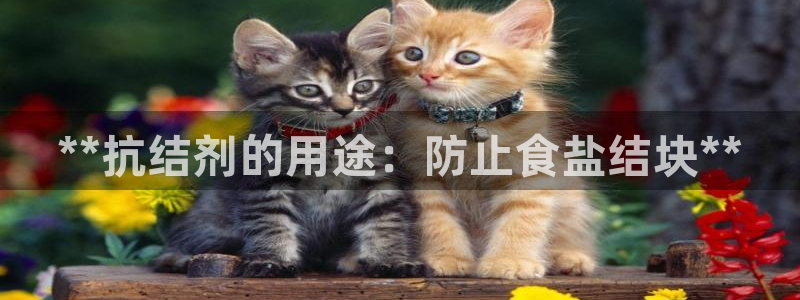 威九国际黑钱
