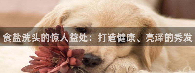 威九国际ppt免费下载网址