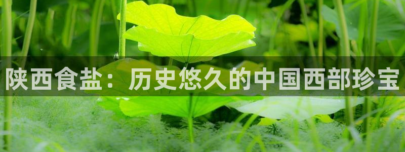 威九国际app无法登陆怎么回事