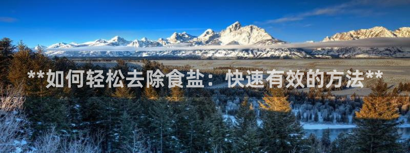 威九国际X8