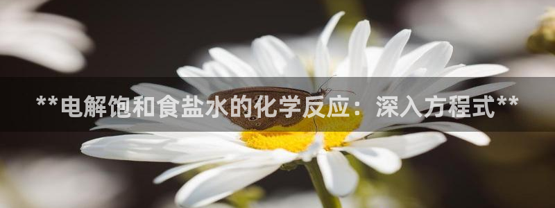 威九国际空降服务怎么样