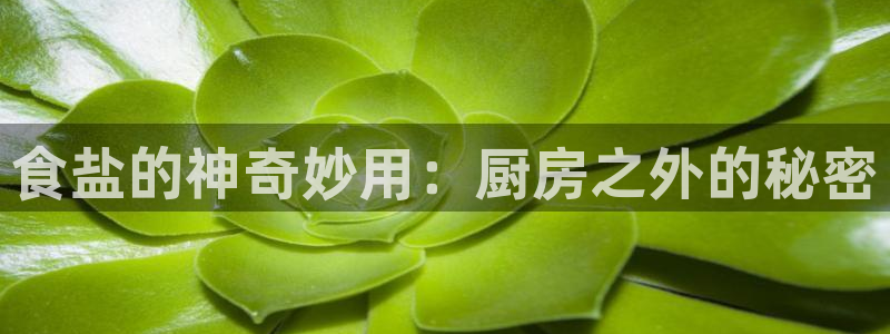 78mapp威九国际媒体央视
