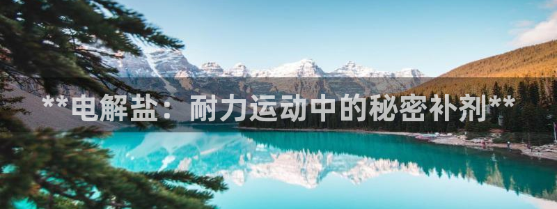 威九国际网站入口地址