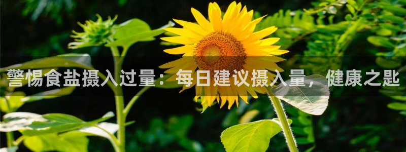 威九国际网站客服电话多少号码