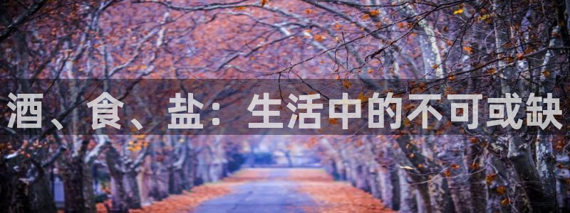威九国际韩国