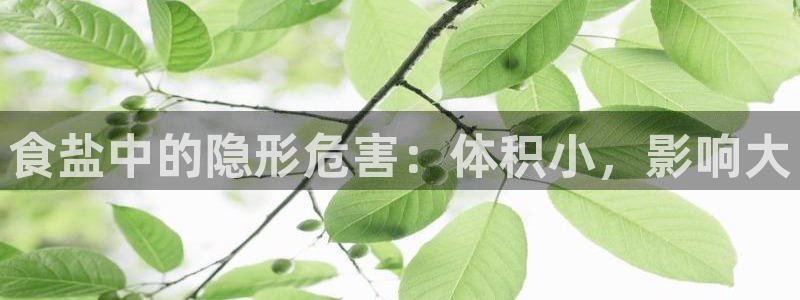 威九国际客服电话号码