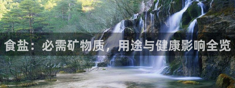威九国际官方入口官网