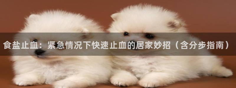 威九国际78mb游戏