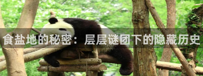 威九国际官网在线进入网站查询