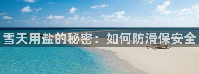 威九国际女明星