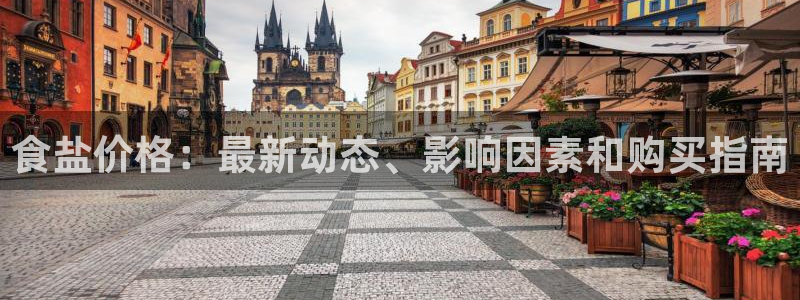 威九国际精选