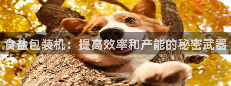 威九国际能提现吗是真的吗