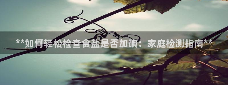 威九国际的金融服务