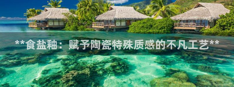 威九国际ft