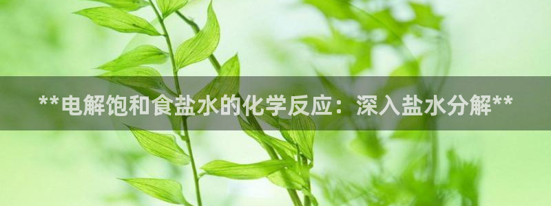 威九国际v96 bet会黑吗