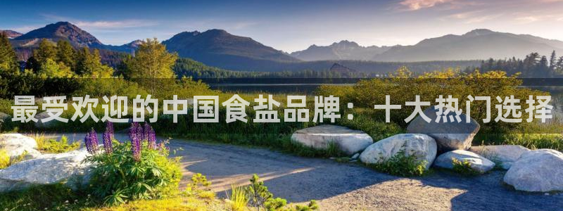 威九国际H