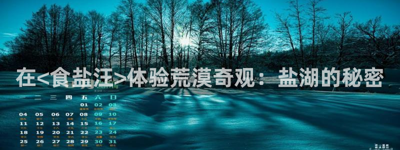 威九国际78mapp官网版下载