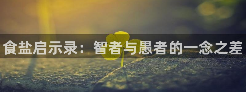 威九国际女星