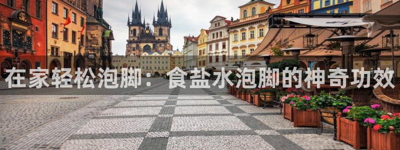 威九国际网站入口官网首页