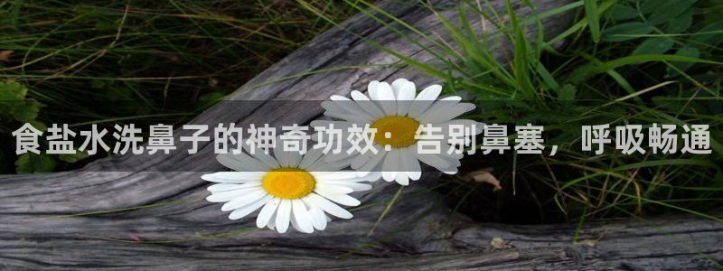 威九国际女星