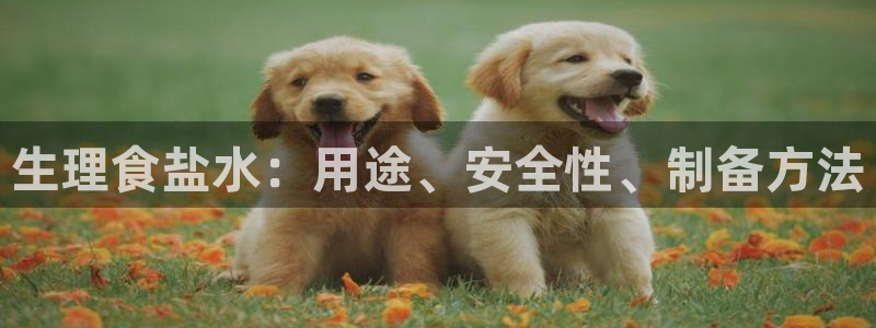 威九国际网站入口地址