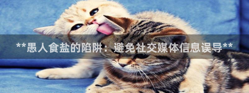 威九国际韩国