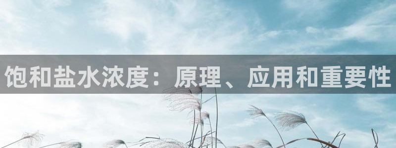 威九国际人民网
