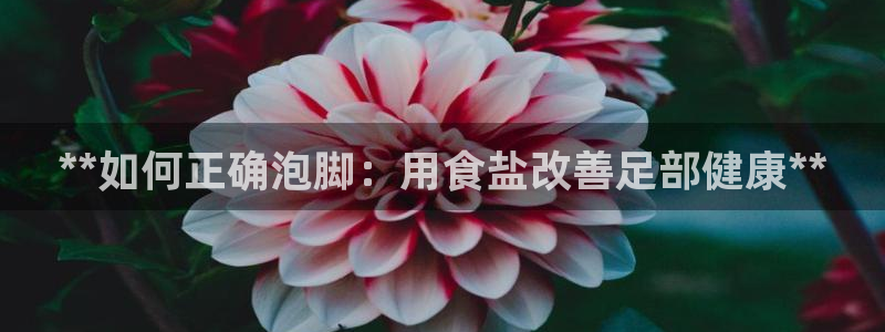威九国际网站入口&rdpuo