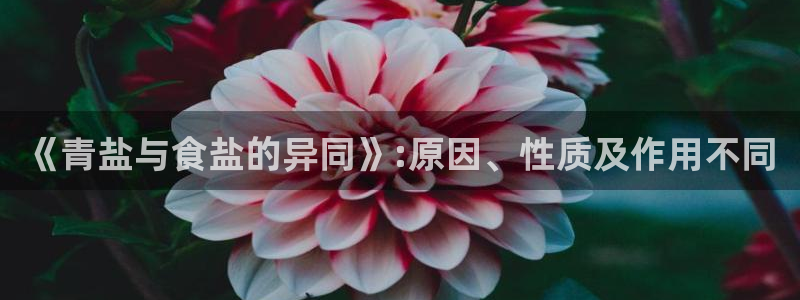 威九国际精忐