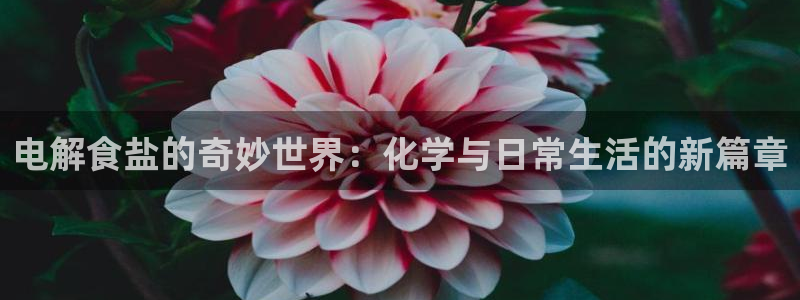威九国际体育app下载