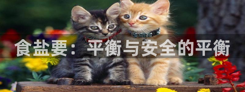威九国际MV