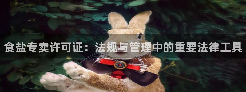 78mapp威九国际官网版