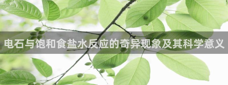 威九国际里的长头发帅哥名字