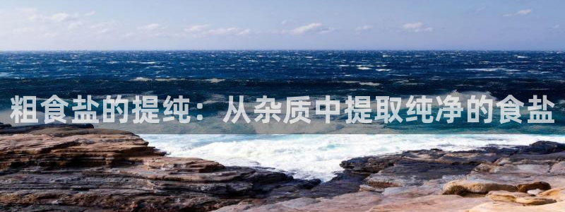 威九国际女星