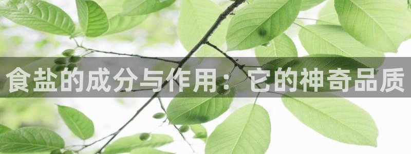 威九国际网站下载