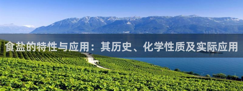 威九国际网站入口官网免费下载