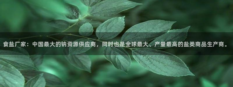威九国际v18