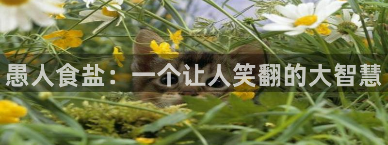 威九国际78mb